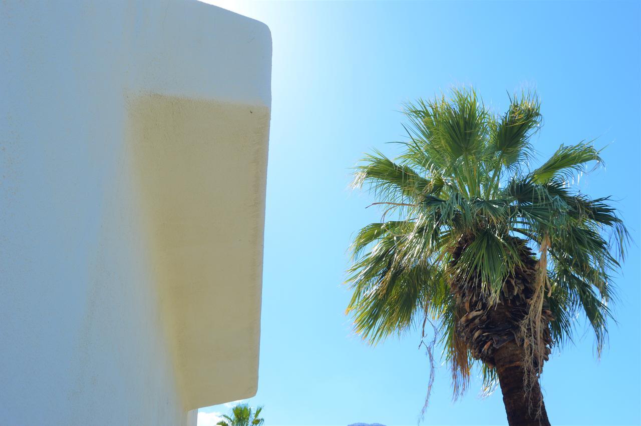 Musicland Hotel Palm Springs Exteriör bild
